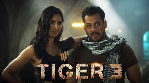 tiger 3 box office